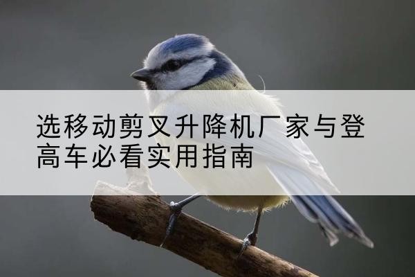 邹平电动升降机厂家-选移动剪叉升降机厂家与登高车必看实用指南