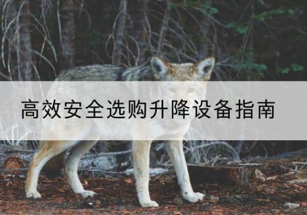 邹平升降货梯厂家推荐-*安全选购升降设备指南