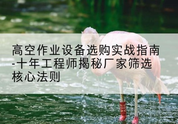 邹平剪叉式升降机厂家-高空作业设备选购实战指南-十年工程师揭秘厂家筛选核心法则